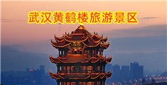 啊啊啊啊啊受不了了爆操视频