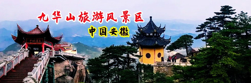 美女被艹的哦哦叫免费